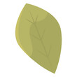 Tree leaf colored icon Vector