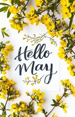 Wall Mural - abstract background with watercolor colorful splashes and flowers. hello may handwritten modern call