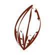 Tree leaf sketch icon Vector