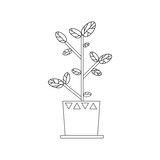 Fototapeta Pokój dzieciecy - Outline plant in pot. Simple black and white vector illustration. for print, web, print isolated on white background