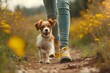 A small dog happily walks down a dirt road next to its human companion in a scenic outdoor setting.
