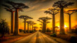Sun-drenched road winds through a majestic avenue of baobabs at the sunset. Ideal for travel posters, travel advertising, and evoking a sense of adventure and exploration.