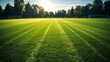 Soccer field artificial turf. green synthetic grass, goal, and shadow for optimal sports ground