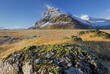 mit Moos bedeckte Steine, Fellsfjall, Midfellstidur, Sudursveit, Ostisland, Island
