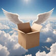 Delivery box with wings symbol of air transportation