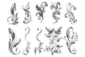 Poster - Beautiful floral designs on a clean white background, perfect for various design projects