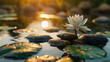 A serene image of a white flower resting on rocks in a peaceful body of water. Suitable for nature and relaxation concepts
