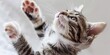 Euphoric Stretch: An Adorable Ginger Cat Full of Joy, Stretching with Paws Outstretched in a Moment of Pure Bliss, Generative AI