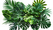 A bunch of green plants on a white surface. Suitable for various design projects