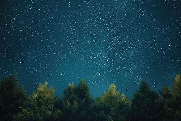 Leinwandbilder - A beautiful night sky filled with twinkling stars. Perfect for background use