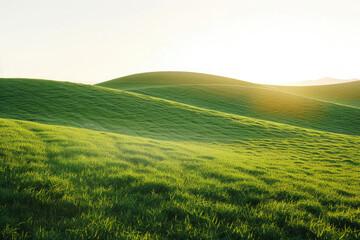 Poster - A solitary horse grazing on a lush green hill. Suitable for nature or animal themes