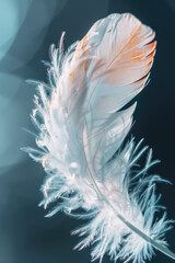 Aufkleber - Close up of a delicate white feather on a vibrant blue background. Perfect for nature or minimalist themed designs