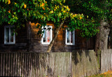 Fototapeta Na sufit - Tradycyjna Drewniana Chata Podlaska - Polska 