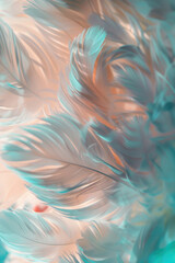 Poster - A close up of a bunch of white feathers. Suitable for various design projects