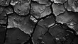 A black and white photo of a cracked wall texture. Suitable for backgrounds or design projects