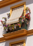 Fototapeta Boho - A balcony decorated with flowers on the facade of a house in Cadiz.