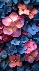 Wall Mural - Vivid collection of hydrangea flowers in various shades of pink, blue, and purple, closely packed