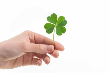 Sticker - A hand holding a st patricks day lucky irish four leaf clover