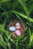Fototapeta Do przedpokoju - Nest of colorful Easter Eggs hidden tall grass found during Easter Egg hunt search.