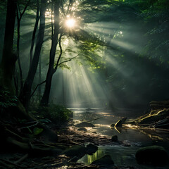 Poster - Mysterious forest with shafts of light breaking through the canopy