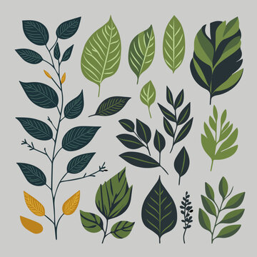 leaves illustration