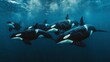 A pod of orcas swimming together underwater, illustrating marine life and familial bonds.