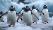 Penguins marching through the snow, symbolizing teamwork and adaptation in harsh climates.