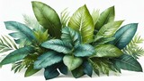 Fototapeta Przestrzenne - Green leaves of tropical plants bush floral arrangement indoors garden nature backdrop