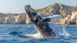Jumping humpback whale over water..