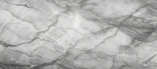 Wall Mural - A detailed shot of freezing gray marble texture resembling cumulus clouds. The monochrome pattern looks like frost on a twig, perfect for flooring or event backdrop