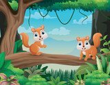 Fototapeta Dinusie - Cute two squirrels enjoying on tree branch