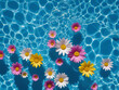 Top view of colorful flowers floating in the surface of a swimming pool. Summer, spring, vacation poolside.