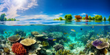 Fototapeta Do akwarium - Coral Reef And Island With Underwater Colorful Corals Background showcasing the diversity and beauty of underwater ecosystem