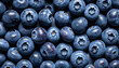 A detailed view of ripe blueberries with distinct holes in the center, possibly caused by insects or natural growth patterns.