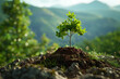A reforestation initiative planting trees to combat deforestation and restore ecosystems.