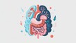 Anatomical Illustration of the Digestive System