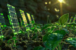 Biophotovoltaic devices generating electricity from photosynthetic organisms.