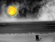 painting sea landscape a lonely black cat in the beach looking at the moon through.