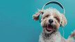 A cheerful puppy wearing headphones grooves to the music, ideal for promoting music.