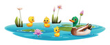 Fototapeta Pokój dzieciecy - Duck and little ducklings swimming in the pond. Vector cartoon illustration