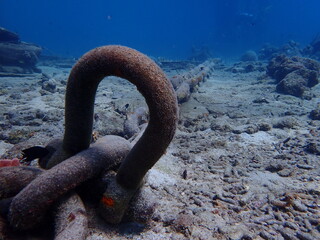 scuba diving underwater world 