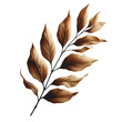 Dry leaf twig Isolated on transparent background PNG Image