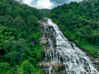 Wall Mural - large waterfall with lush green forest in the background. nature landscape. water is crystal clear a