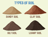 Fototapeta Las - Illustration depicting four varieties of soil types