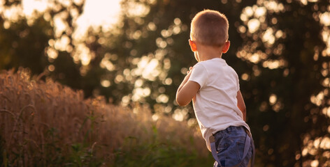 Wall Mural - a child in a wheat field. nature.