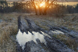 Fototapeta Krajobraz - frozen puddle on path