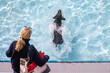 Schwarzer Labrador springt in Schwimmbecken beim Hundeschwimmen 