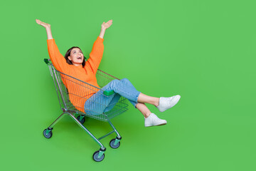 Wall Mural - full body portrait of astonished lady sit inside market trolley raise arms look up empty space isola