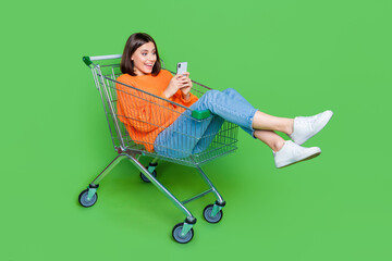 Wall Mural - full size portrait of impressed cheerful girl use smart phone inside hypermarket trolley isolated on