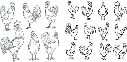 Sticker - One line roosters